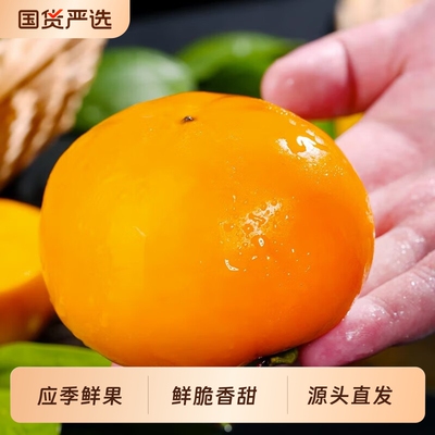 2026年10月14日更新【万能白菜价】的图片 第60张