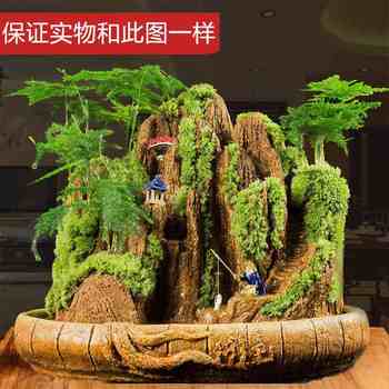 
Landscape bonsai absorbs water, rocks, rocks, flowing water, indoor small potted plants, water-filled stones, green plants, asparagus bamboo, Podocarpus pine ornaments