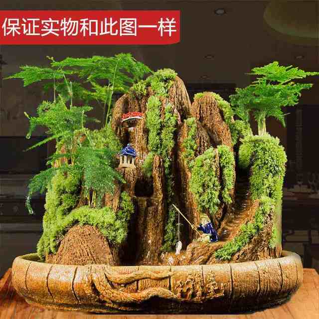 
Landscape bonsai absorbs water, rocks, rocks, flowing water, indoor small potted plants, water-filled stones, green plants, asparagus bamboo, Podocarpus pine ornaments