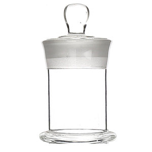 Glass specimen bottle thickened specimen tank plant sample bottle experimental transparent display bottle formalin liquid soaking bottle
