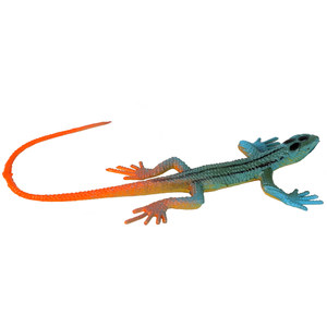 
Cute simulated lizard model toy chameleon giant salamander four-legged snake plastic amphibian children's cognitive gift