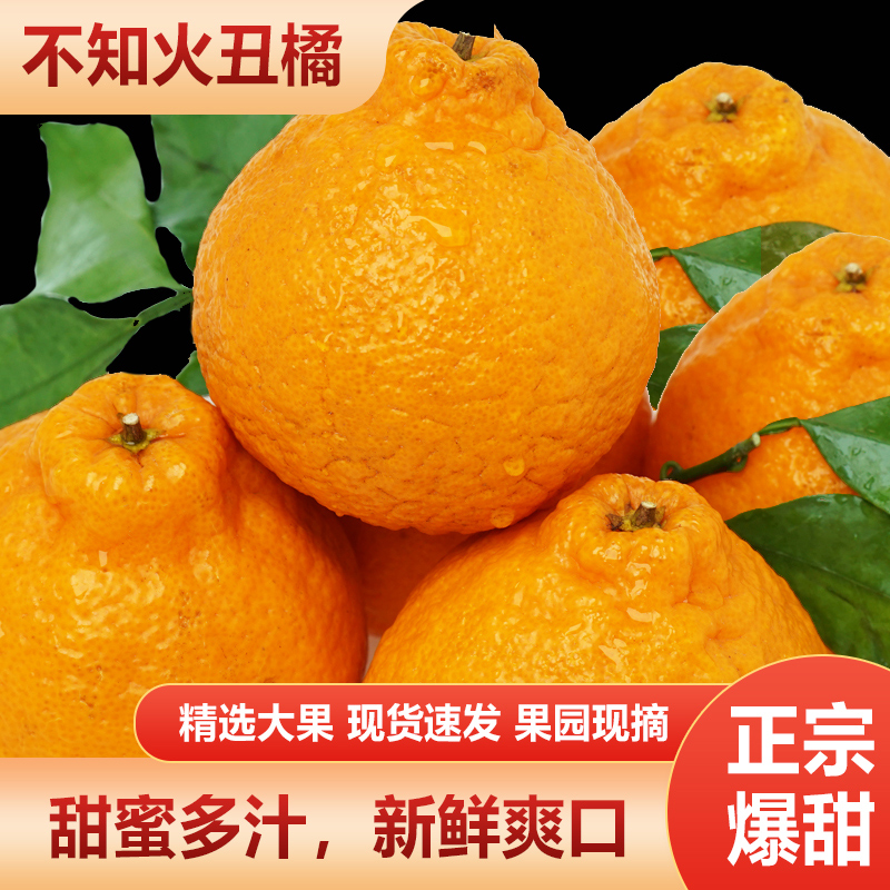 四川不知火丑橘新鲜水果当季丑八怪橘子丑桔丑柑孕妇柑橘整箱包邮