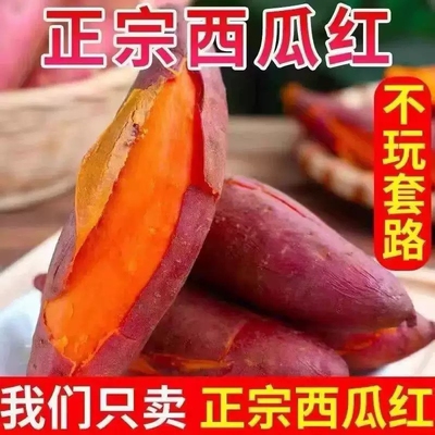 2026年4月24日更新【万能白菜价】的图片 第31张