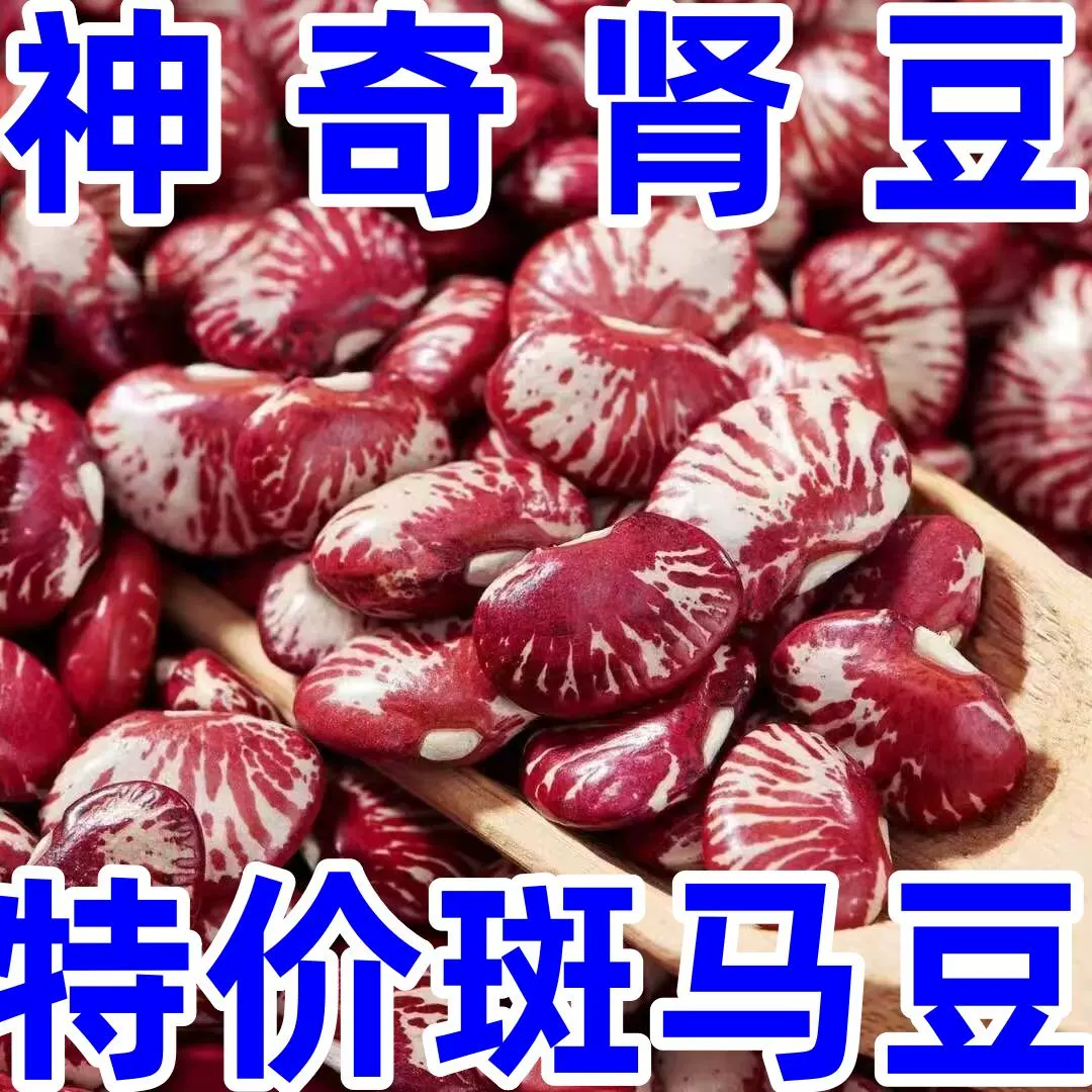 斑马豆新豆子5斤特产农家饭豆芸豆新鲜扁豆五谷杂粮肾豆花腰豆