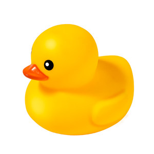 Little yellow duck playing in water toy, baby bathing and playing in water, children swimming, baby duckling pinching and making sounds, male and female