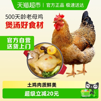 2026年4月12日更新【万能白菜价】