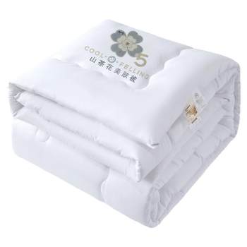 
Soy fiber quilt 2025 new dormitory single quilt core spring and autumn quilt universal double winter quilt thickened