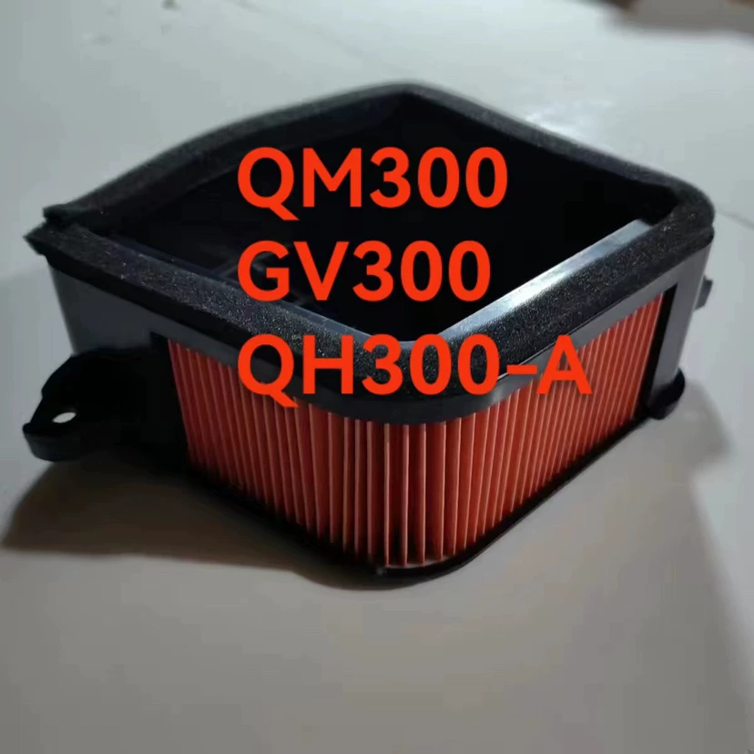 QM300 GV300S - Filtro de Aire / Filtro de Aceite