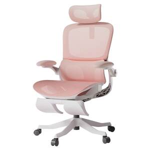 Black and white adjust P2Pro ergonomic chair for girls computer chair e-sports chair home office chair study chair dormitory