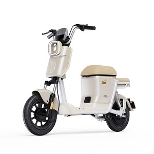 
Luyuan NEO1 new national standard smart electric bicycle with long endurance for commuting and transportation, pick up in store