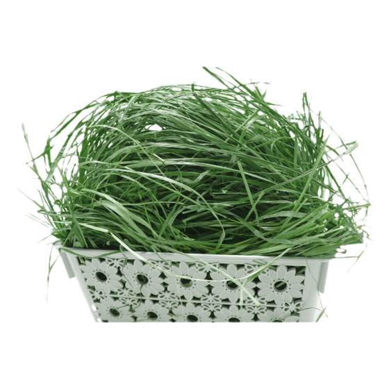 
25 years of rabbit grass dry Timothy tender grass North leash pet rabbit grass Dutch pig chinchilla grass domestic hay grass
