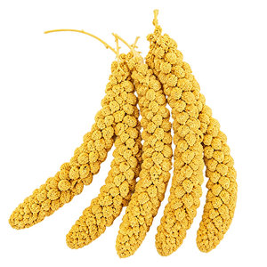 Special yellow grain spike for parrots, small sun budgies, molar sticks, beautiful feather pigeons, bird food, feed, cages, toys and supplies
