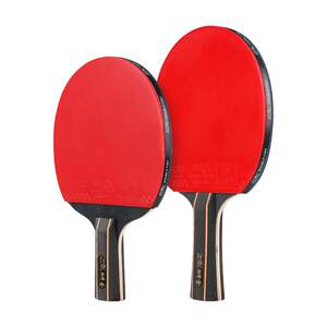 
Pisces Table Tennis Racket Set for Beginners High Elastic Double-Side Reverse Arc Fast Attack High Sticky Kirin 5 Stars