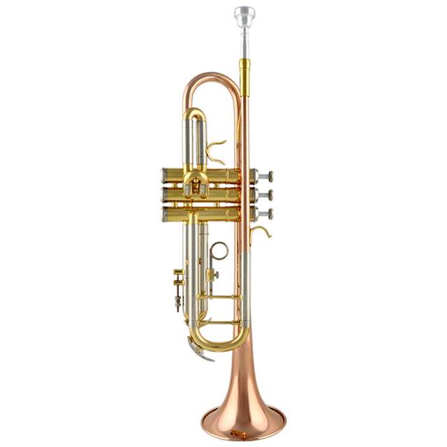 Jinyin trumpet instrument, professional performance level for adults ...