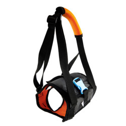 Pet assisted seat belt pulls hind legs weak muscles