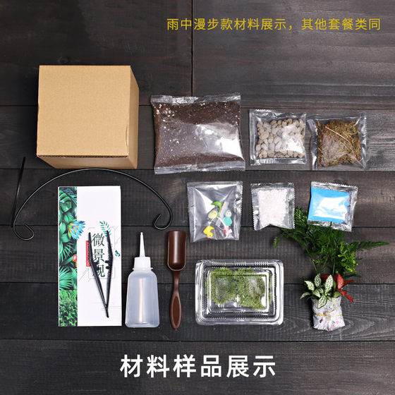 10cm桌面苔藓微景观小花盆栽鲜活植物幼儿园切口生态瓶DIY材料包