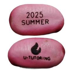 2025 new seeds engraved bean magic bean bag germination