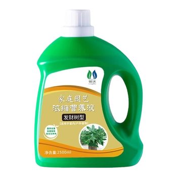 
Special nutrient solution for money trees, a savior for yellow and dead leaves