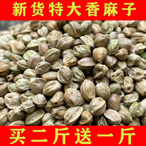 麻子大粒甘肃特产特大生麻子火麻子籽人吃炒熟油食用香麻子大颗粒