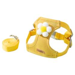 Vest type leash for puppies and kittens
