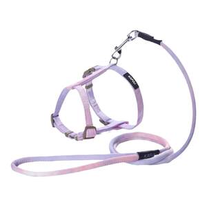 New cat traction rope skating cat walking cat rope defense can adjust the adjustable cat rope traction cat tie cat rope chain
