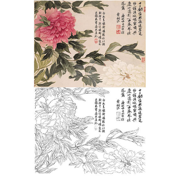 工笔画白描底稿恽寿平没骨花卉小品实物打印稿尺寸可选SP49