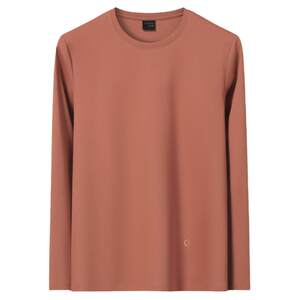 
Spring and autumn men's round neck long-sleeved T-shirts pure cotton mercerized cotton bottoming shirts high-end casual autumn clothes men's tops