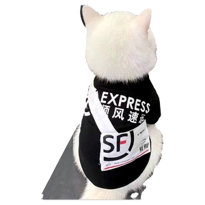 Cat clothing express delivery delivery backpack thin British short cloth doll blue cat silver gradient layer kitten pet dog funny outfit