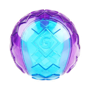 
The precious G-ball dog toy ball can make sound pet football transparent combination puppy small medium and large size