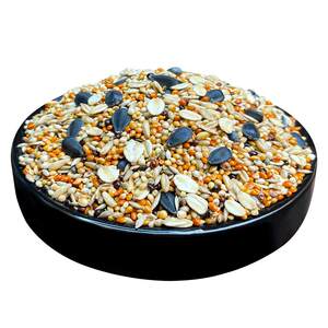 
Tiger skin peony black phoenix small and medium-sized parrot bird food bird food five-color millet parrot mixed nutritional grain millet free shipping