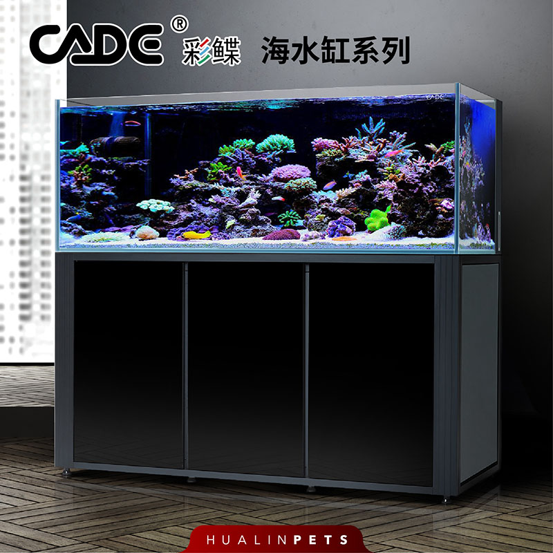 彩鲽CADE新款海水鱼缸全白海水缸珊瑚鱼缸水族箱自带补水箱