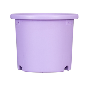 Alice Deepot Succulent Money Tree Rose Special Flower Pot Resin Alice Plastic Gallon Household Clearance