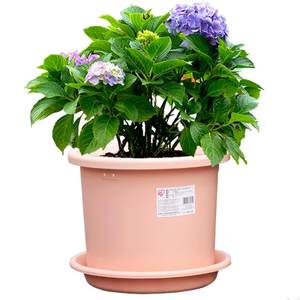 
Alice deepot flower pot resin root control gallon pot Alice round mouth hydrangea rose plastic flower pot