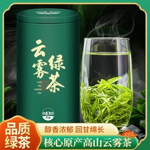 云雾茶2024新茶高山绿茶罐装