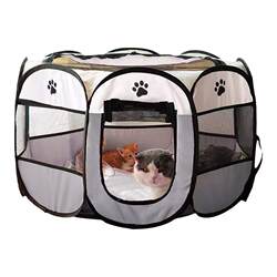 Disner pet delivery room production set