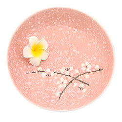 Internet celebrity ceramic cherry blossom beautiful pink new plate