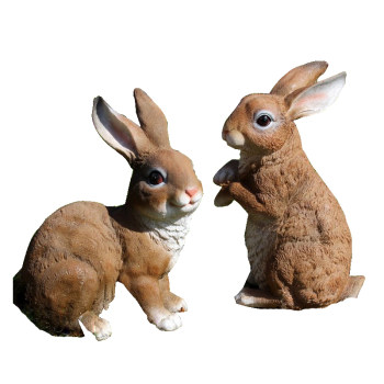 Gardening courtyard setting up house setting landscape landscape landscape landscape
