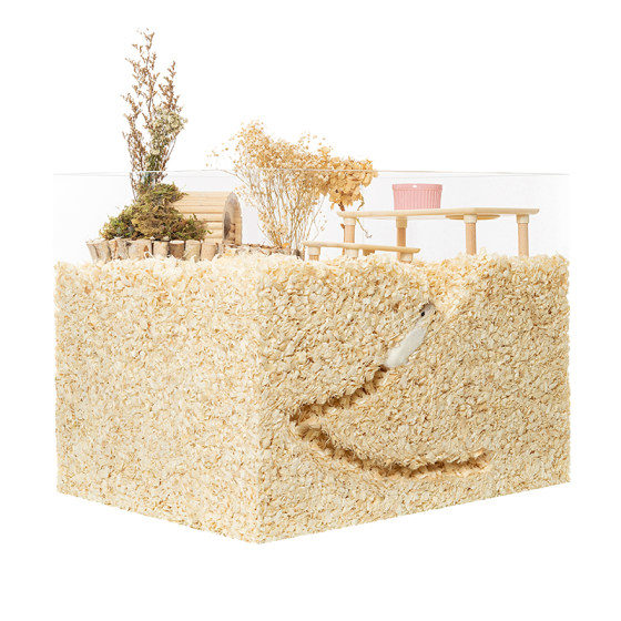 
Carnot shavings, hamster sawdust bedding, spring and summer golden bear flower branch landscaping, special wood chips, poplar spring supplies