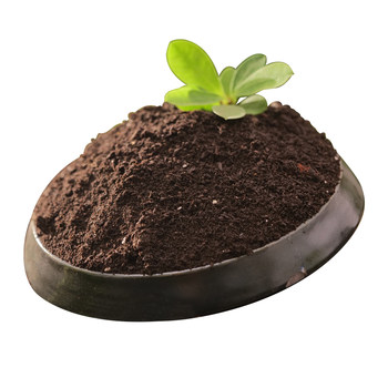 
Vegetable nutrient soil Organic soil without insects and eggs breathable