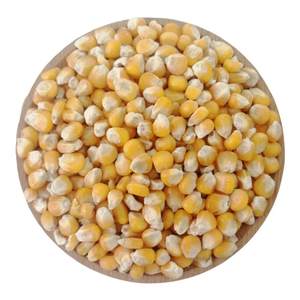 
20*0.5kg corn kernels dried corn seeds chicken duck geese bird feed pigeon grain small corn grains feed pigeon grain bulk free shipping