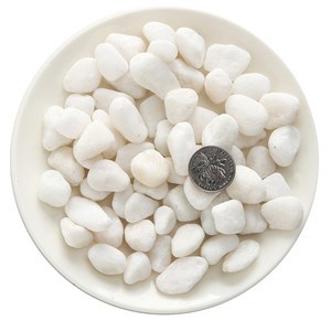 Cobblestone Natural Rainstone Little White Stone Basil Poly Poles Pot Basin Flower Basin Flower Hydroponic White Stone