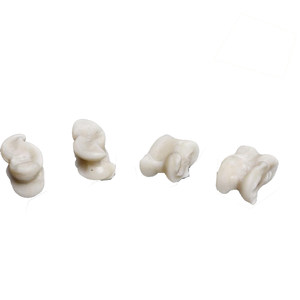 Sheep Galaha Yang Bone Bone Bone Declacing Toys 旮旯 旮旯 旮旯 怀 怀 怀 怀 怀 怀 怀 free shipping