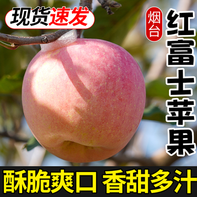 2026年5月3日更新【万能白菜价】的图片 第24张