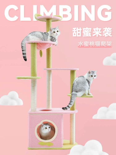 Кошка поднимает стойку для кошачьего гнезда кошачьи дерево интегрированное твердое древесину, мечи Тяньчжу, колонны Цзянь Ма захватывают колонны, не занимающие высокие виллы с высоким масштабами, кошки