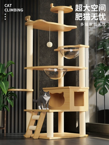 Восхождение на кот гнездо кошачье дерево интегрированное Tiangzhu Cat, захватывающее космическое отсек не занимает большие кошки, прыгающие кошки