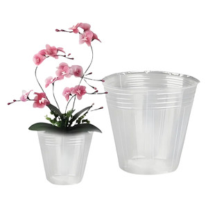 Phalaenopsis special planting transparent seedling cup seedling bowl nutrition bowl orchid dendrobium orchid pot nutrition cup transparent