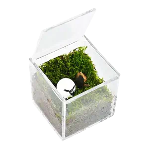 square small bonsai basin Latest Best Selling Praise 