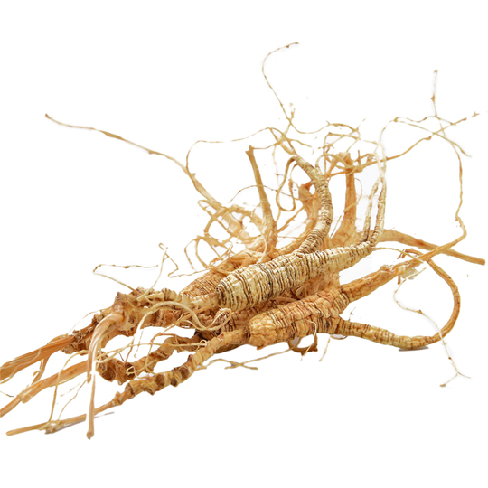 Ayollar onlayn kamming Buvim porno buzuqlik