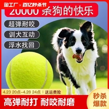 Dog toy ball is a self congratulatory tool for relieving boredom. Pet border collie Golden Hair Keji Bite resistant Ball Training Molar Tennis Rubber