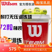 Wilson Wilson Team Trainer 72 Bucket Training Training Ball Ball